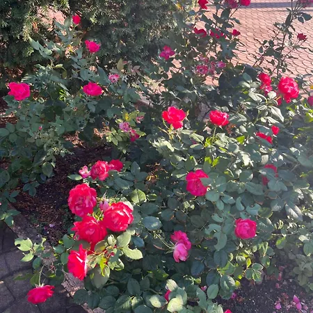 Appartamento Casa Elite