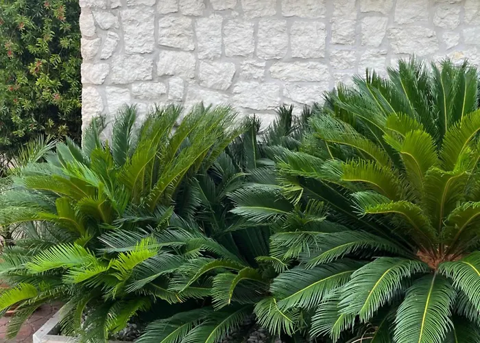 Casa Elite Appartamento *