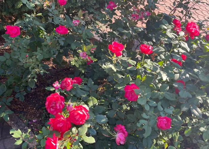 Appartamento Casa Elite