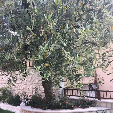 Casa Elite * ברדולינו