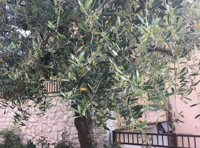 Casa Elite * Bardolino